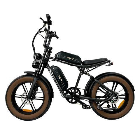 Bicicletta Elettrica PVY X20 IT 30AH - Motore 250W Batteria 48V15AH*2 Ruote da 20 Pollici Freni a Disco Ldraulici - Nero