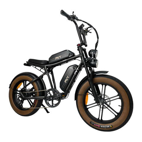 Bicicletta Elettrica PVY X20 IT 30AH - Motore 250W Batteria 48V15AH*2 Ruote da 20 Pollici Freni a Disco Ldraulici - Nero