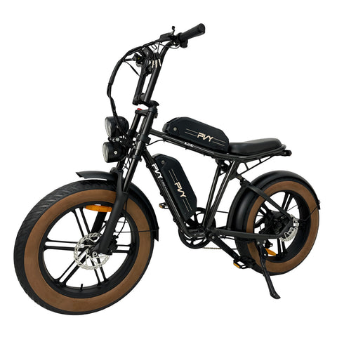 Bicicletta Elettrica PVY X20 IT 30AH - Motore 250W Batteria 48V15AH*2 Ruote da 20 Pollici Freni a Disco Ldraulici - Nero