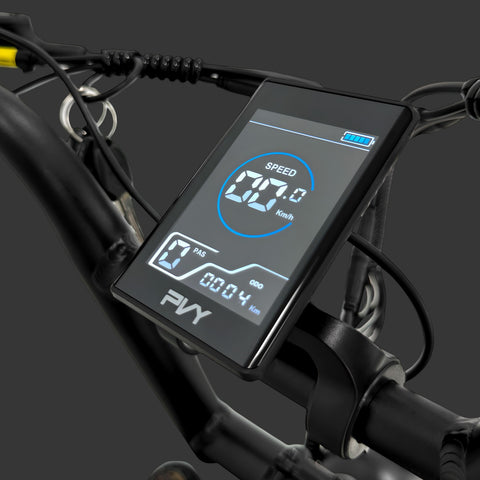 Bicicletta Elettrica PVY X20 IT 30AH - Motore 250W Batteria 48V15AH*2 Ruote da 20 Pollici Freni a Disco Ldraulici - Nero