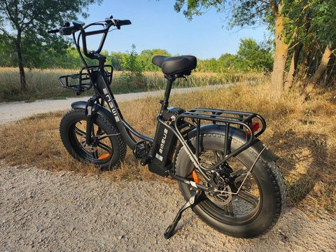 ENGWE L20 E-Bike 250W | Bicicletta Elettrica 60KM Autonomia