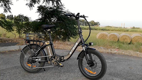 ENGWE L20 E-Bike 250W | Bicicletta Elettrica 60KM Autonomia