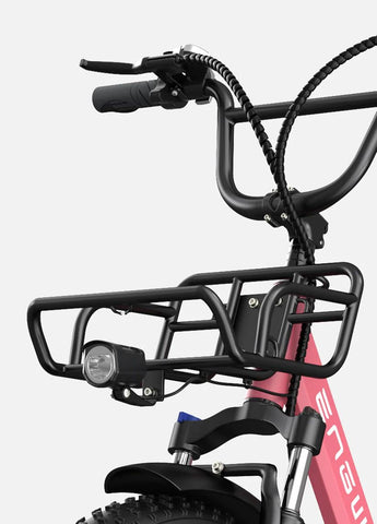 ENGWE L20 E-Bike 250W | Bicicletta Elettrica 60KM Autonomia