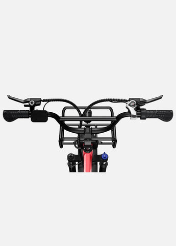 ENGWE L20 E-Bike 250W | Bicicletta Elettrica 60KM Autonomia
