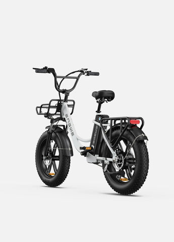 ENGWE L20 E-Bike 250W | Bicicletta Elettrica 60KM Autonomia