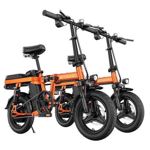ENGWE T14 EU E-Bike 250W | Bicicletta Elettrica 45KM Autonomia