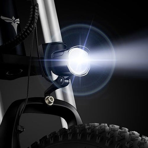 ENGWE X20 E-Bike 750W | Bicicletta Elettrica 70KM Autonomia