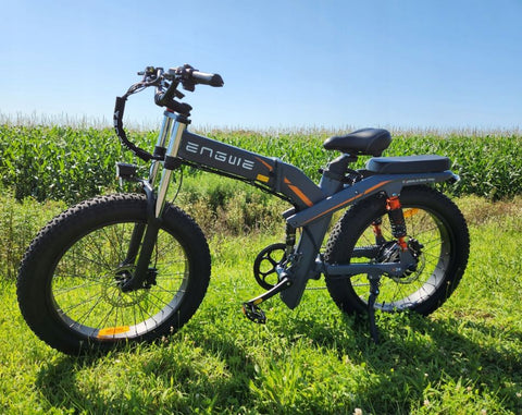 ENGWE X24 E-Bike 1000W | Bicicletta Elettrica 100KM Autonomia
