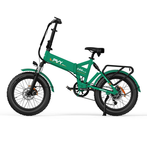 Bicicletta Elettrica PVY Z20 Plus 1000 - Motore 250W Batteria 48V16.5AH Autonomia 120KM Freno a Disco Idraulic - Verde