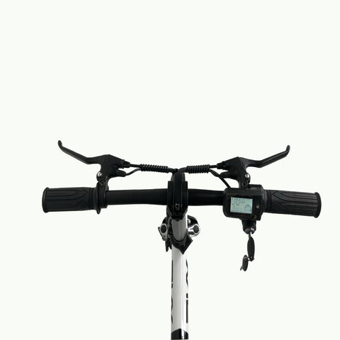 Bicicletta Elettrica PVY S2 Motore 250W Batteria 36V7.5AH Autonomia 60KM Freno a Disco Meccanico - Bianco e nero