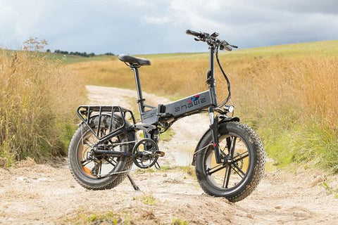 Bicicletta elettrica ENGWE ENGINE PRO - Potenza 750W, autonomia 75KM - Colore grigio