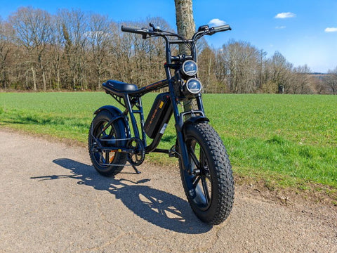 Bicicletta elettrica ENGWE M20 13AH - Potenza 750W, autonomia 60KM - Colore nero