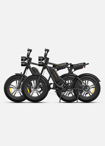 Bicicletta elettrica ENGWE M20 13AH - Potenza 750W, autonomia 60KM - Colore nero