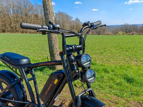 Bicicletta elettrica ENGWE M20 13AH - Potenza 750W, autonomia 60KM - Colore nero