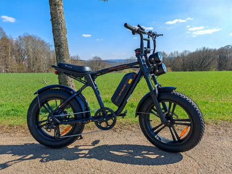 Bicicletta elettrica ENGWE M20 13AH - Potenza 750W, autonomia 60KM - Colore nero