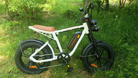 Bicicletta elettrica ENGWE M20 13AH - Potenza 750W, autonomia 60KM - Colore bianco