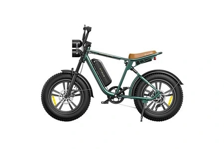 Bicicletta elettrica ENGWE M20 13AH - Potenza 750W, autonomia 60KM - Colore verde