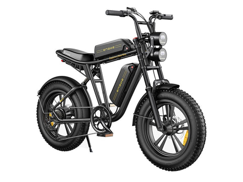 Bicicletta elettrica ENGWE M20 26AH - Potenza 750W, autonomia 120KM - Colore nero
