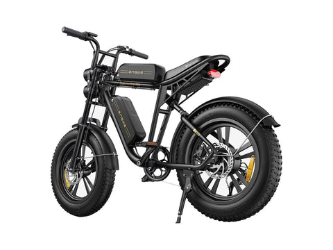 Bicicletta elettrica ENGWE M20 26AH - Potenza 750W, autonomia 120KM - Colore nero