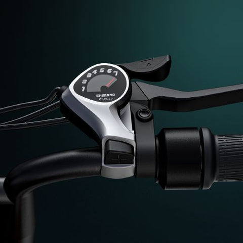 Bicicletta elettrica ENGWE M20 26AH - Potenza 750W, autonomia 120KM - Colore verde