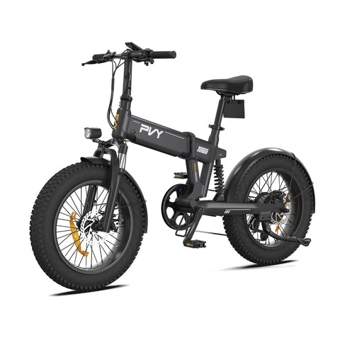 Bicicletta Elettrica PVY Turbo - Motore 250W Batteria 48V13AH Ruote da 20" Freni a Disco Meccanici - Grigia
