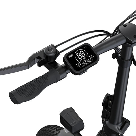 Bicicletta Elettrica ENGWE P1 - Pneumatici Da 20 Pollici Motore 250W Batteria 36V13AH Freno A Disco Meccanico - Argento