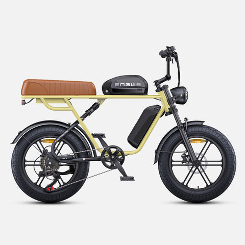 Bicicletta Elettrica ENGWE M1 EU - Potenza 250W Batteria 48V28.6AH Pneumatici da 20 Pollici Freni a Disco Idraulici - Giallo