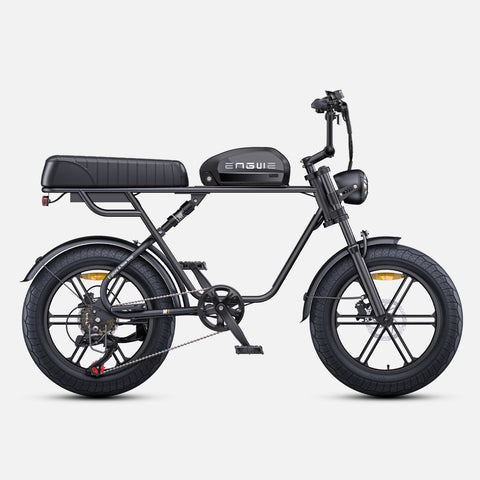 Bicicletta Elettrica ENGWE M1 EU - Potenza 250W Batteria 48V15.6AH Pneumatici da 20 Pollici Freni a Disco Idraulici - Nero