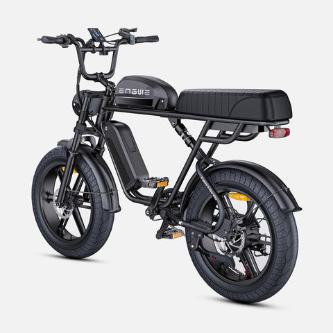Bicicletta Elettrica ENGWE M1 EU - Potenza 250W Batteria 48V28.6AH Pneumatici da 20 Pollici Freni a Disco Idraulici - Nero