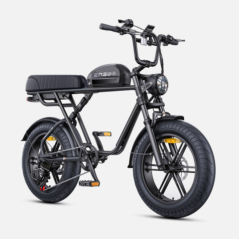 Bicicletta Elettrica ENGWE M1 EU - Potenza 250W Batteria 48V15.6AH Pneumatici da 20 Pollici Freni a Disco Idraulici - Nero