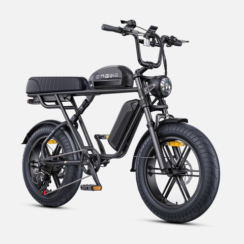 Bicicletta Elettrica ENGWE M1 NL -  Potenza 250W Batteria 48V28.6AH Pneumatici da 20 Pollici Freni a Disco Idraulici Pomello del Cambio Senza Maniglie - Nero