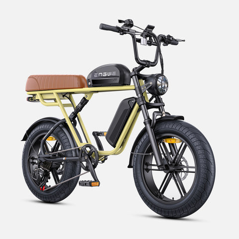 Bicicletta Elettrica ENGWE M1 EU - Potenza 250W Batteria 48V28.6AH Pneumatici da 20 Pollici Freni a Disco Idraulici - Giallo