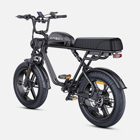 Bicicletta Elettrica ENGWE M1 EU - Potenza 250W Batteria 48V15.6AH Pneumatici da 20 Pollici Freni a Disco Idraulici - Nero