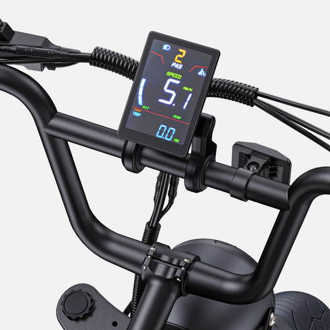 Bicicletta Elettrica ENGWE M1 EU - Potenza 250W Batteria 48V15.6AH Pneumatici da 20 Pollici Freni a Disco Idraulici - Giallo